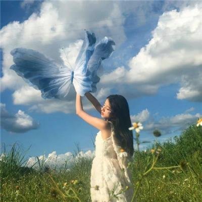 毛丰美